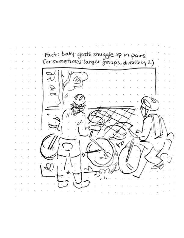 Daily comic