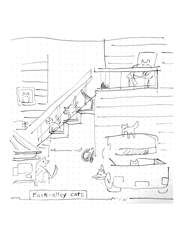 Daily comic