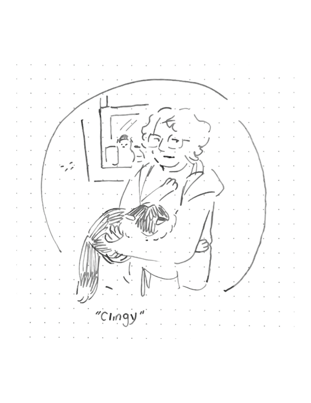 Daily comic
