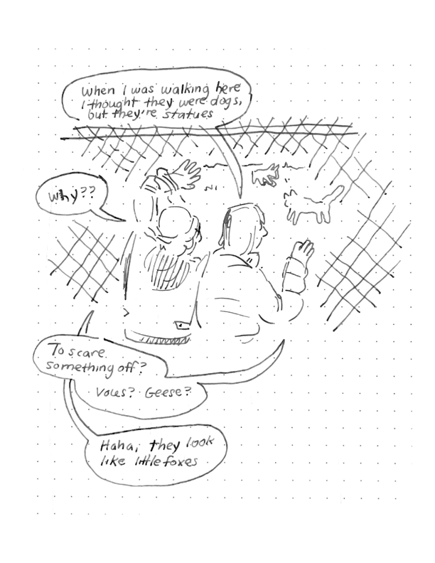 Daily comic