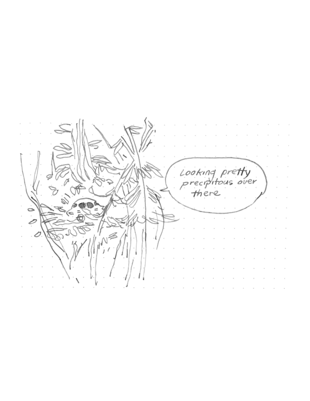 Daily comic