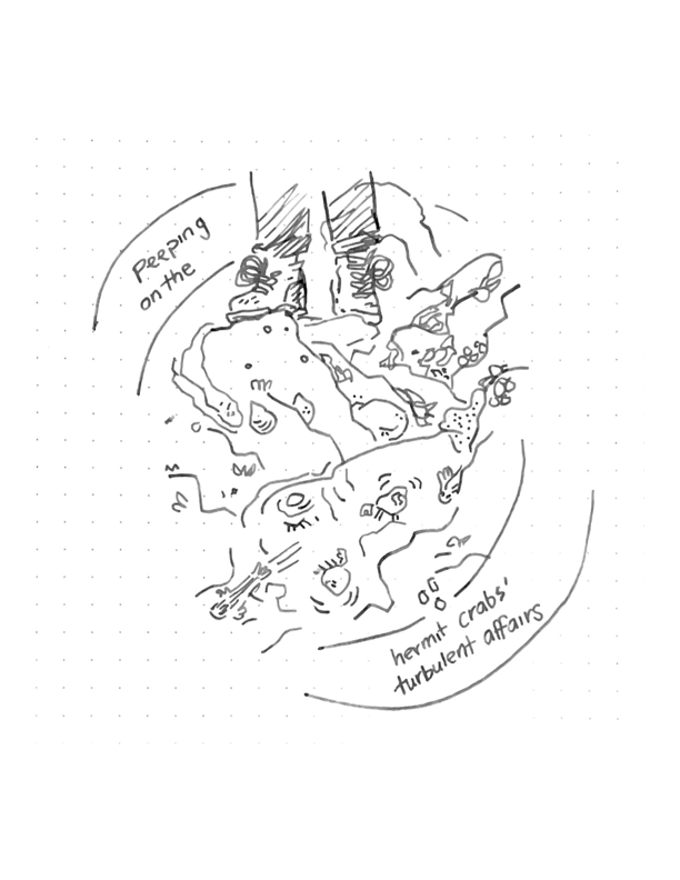 Daily comic