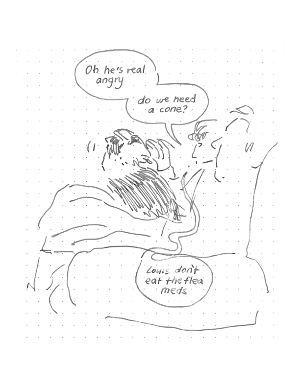 Daily comic