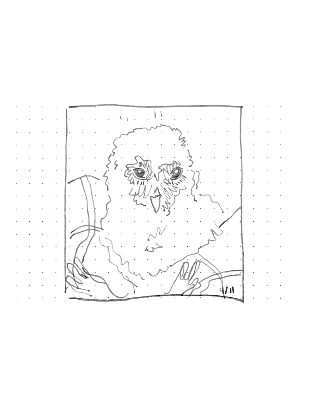 Daily comic