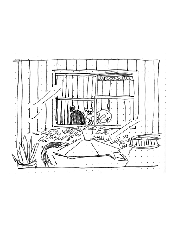 Daily comic