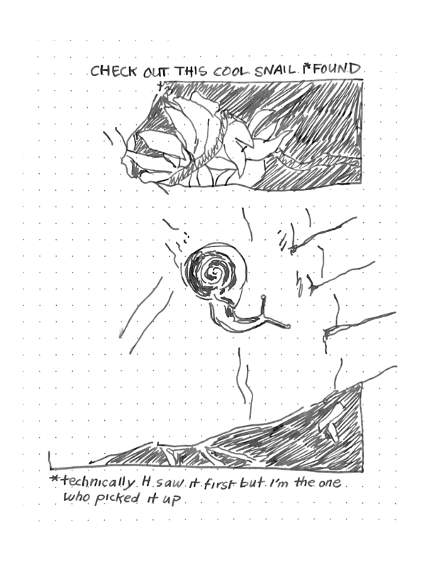Daily comic