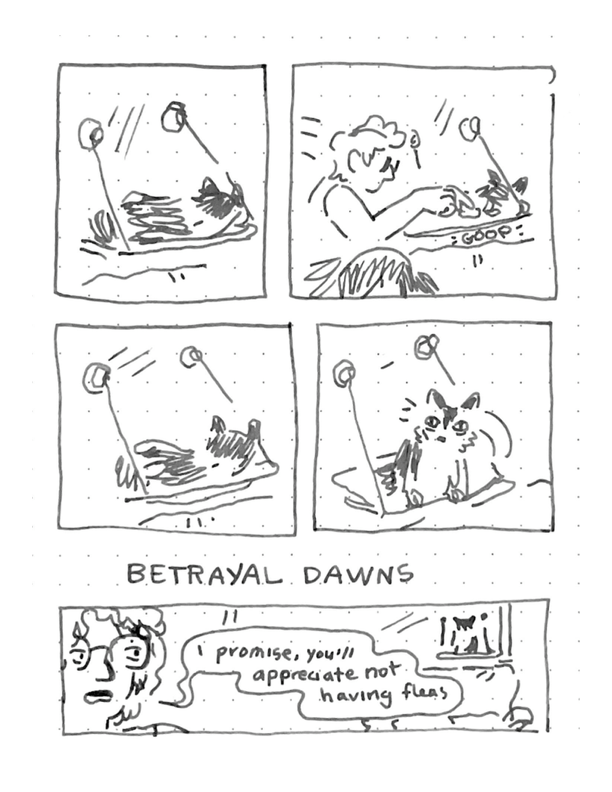 Daily comic