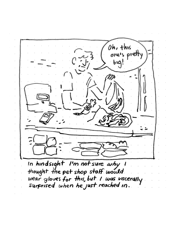 Daily comic