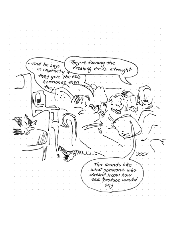 Daily comic