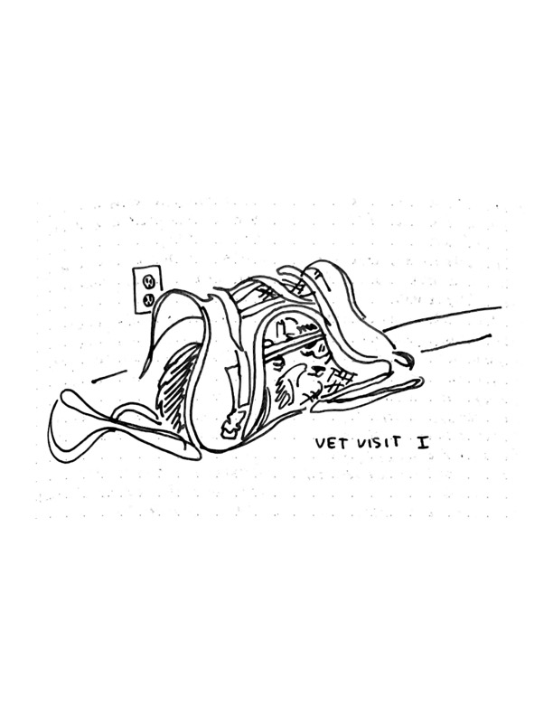 Daily comic