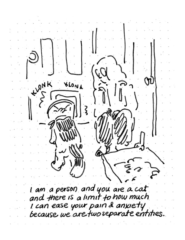 Daily comic