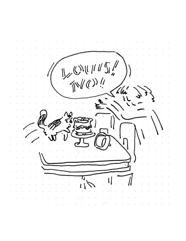 Daily comic