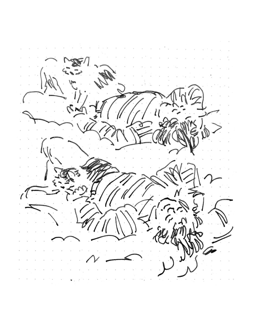 Daily comic