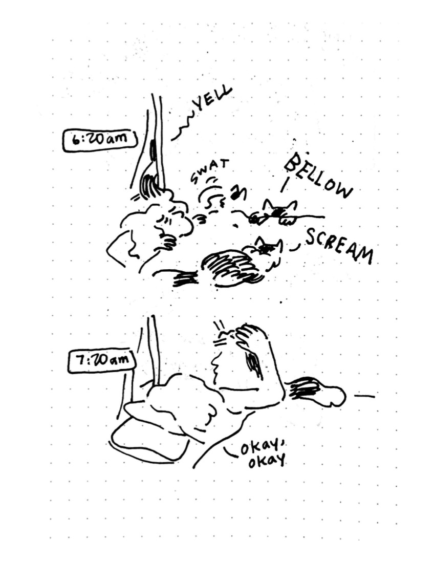 Daily comic