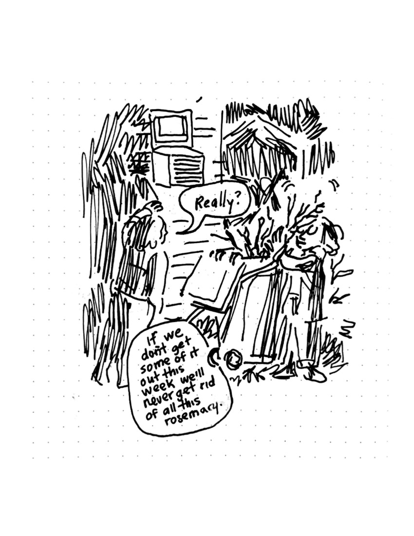 Daily comic