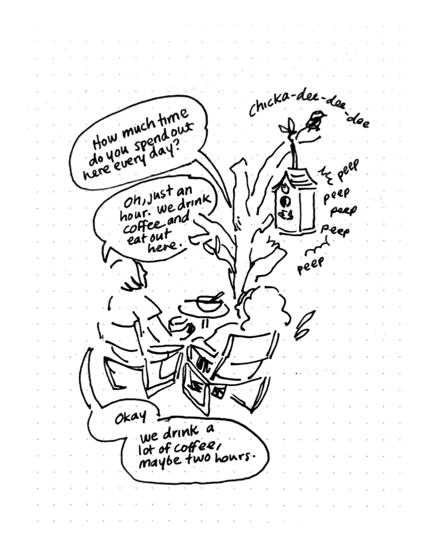 Daily comic