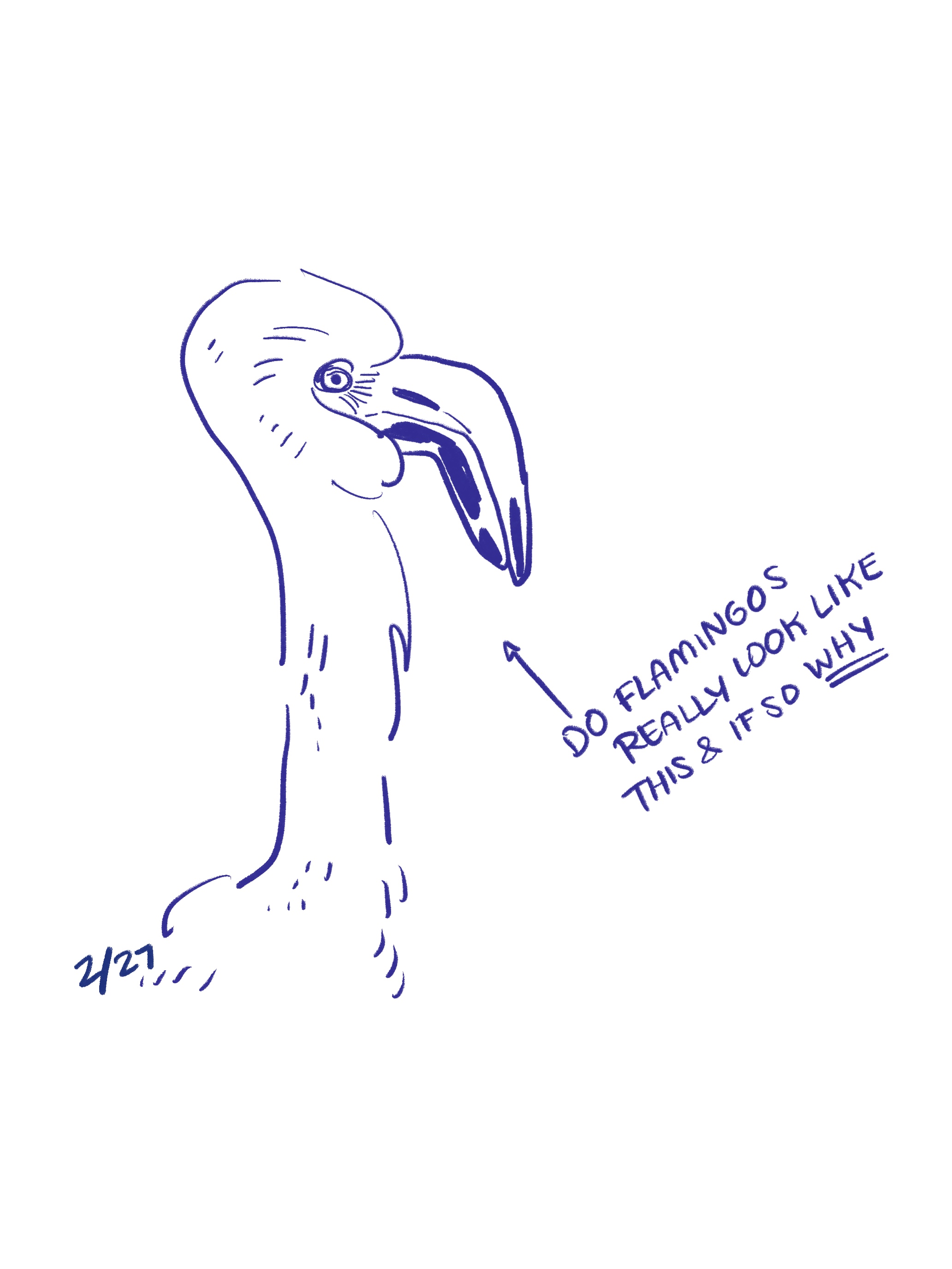 Daily comic