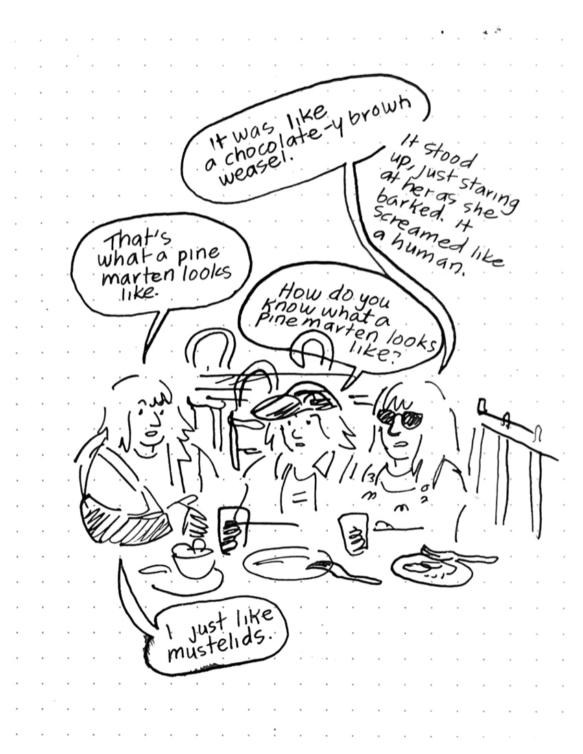 Daily comic