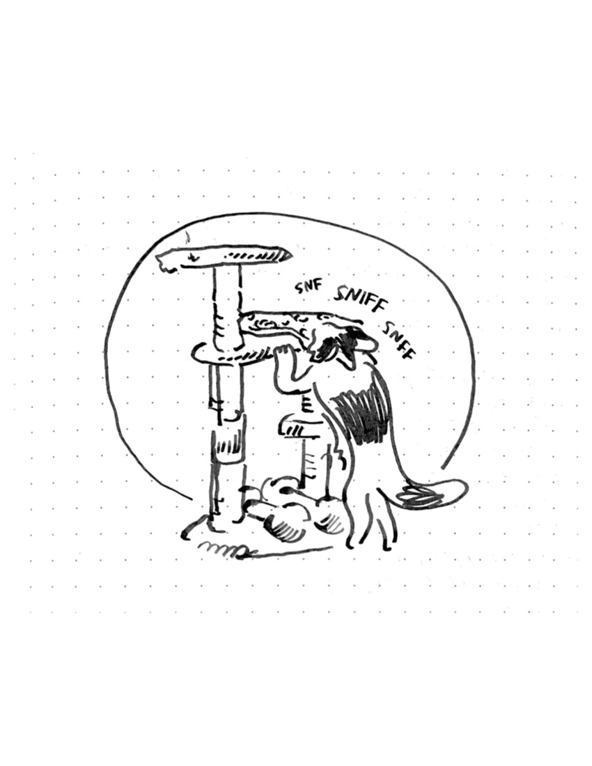 Daily comic