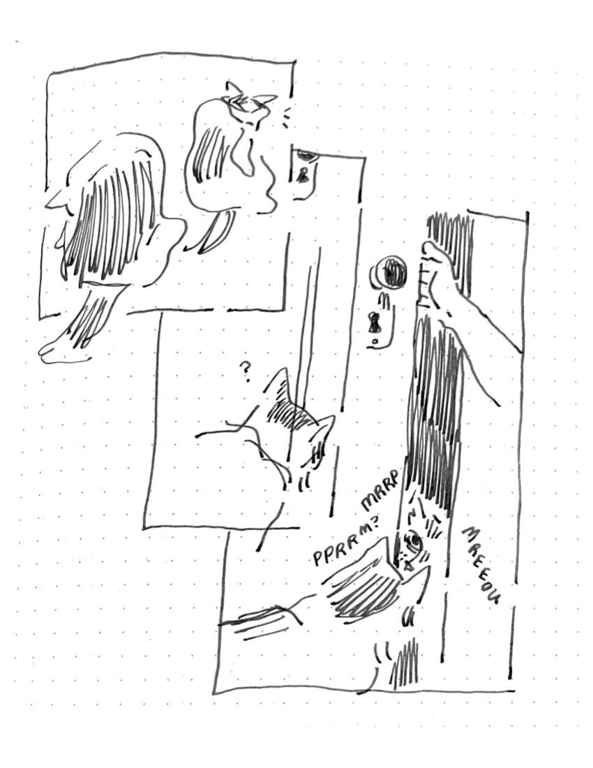 Daily comic