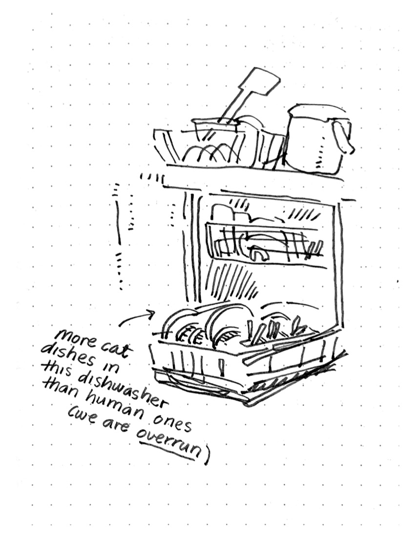Daily comic